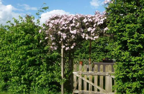 Saint-Senoch House | La maison des fleurs