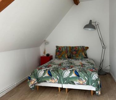 Cappelle-Brouck House | La maison des hirondelles