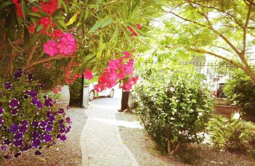 Homps Bed & Breakfast | La Maison des Palmiers