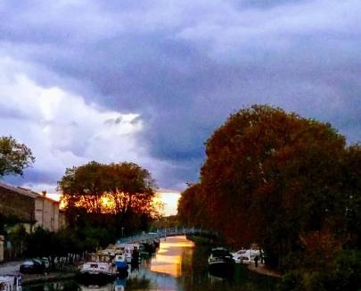 Homps Bed & Breakfast | La Maison des Palmiers