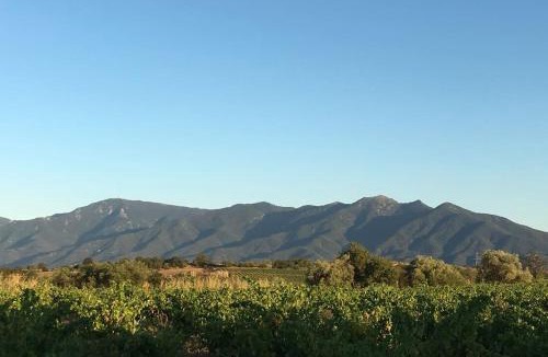 Tresserre House | La maison des vendangeurs