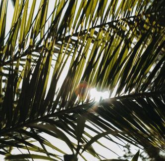 Cap-Ferret Hotel | La Maison du Bassin