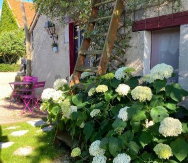 Thiel-sur-Acolin Bed & Breakfast | La Maison du Bonheur 7km Le PAL