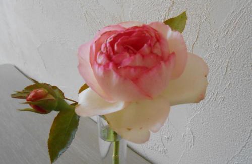 Puisseguin Bed & Breakfast | La Maison du Bourg proche St Emilion