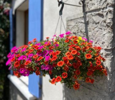 Marat Bed & Breakfast | La Maison du Chevalier - Chambres et tables d'hôtes - Adults Only