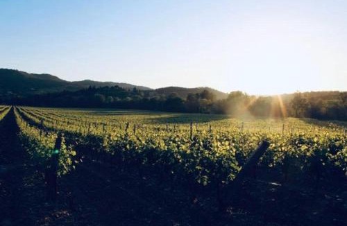 Cournanel House | La Maison du Figuier - 4 pers entre Vignes & Rivière -