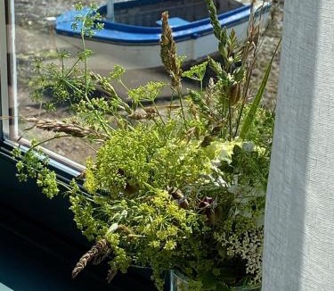Loguivy Bed & Breakfast | La maison du grand rocher