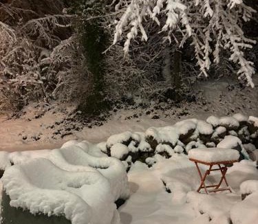 Saint-Theoffrey Ski Chalet | La Maison du Lac