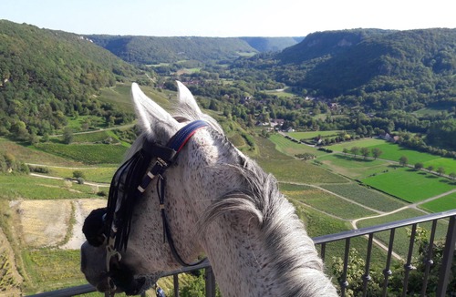 Passenans House | La Maison du Rostaing