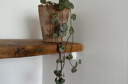 Enclos Bed & Breakfast | La maison du tripot