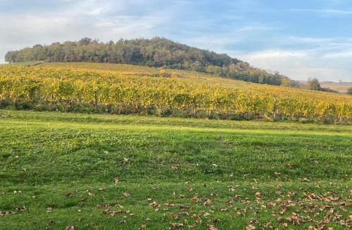 Ternand House | La maison du vigneron