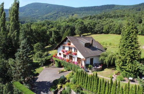 Dieffenbach-au-Val House | La Maison Fleurie