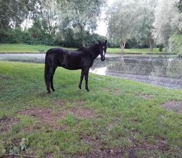 Lavacourt House | la maison au bord de l'eau