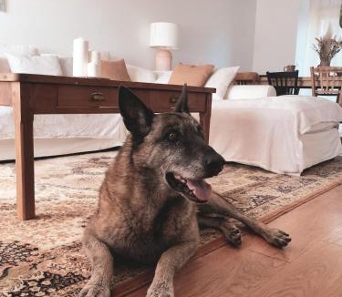 Boissise-la-Bertrand House | La Maison Gabriac