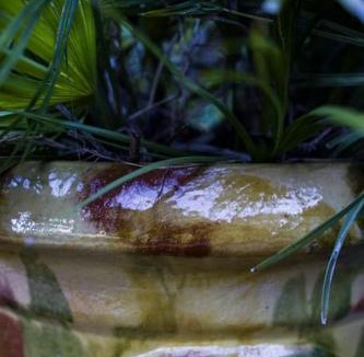 Martin House | La maison Léopoldine