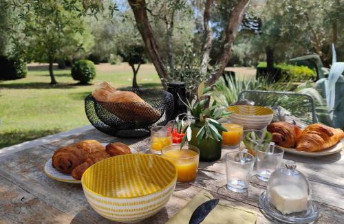 Lunel Bed & Breakfast | La Maison l'Oliveraie