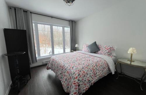 Sainte-Famille Ski Chalet | La Maison Laurentienne, Vue sur le fleuve ,Spa et Sauna