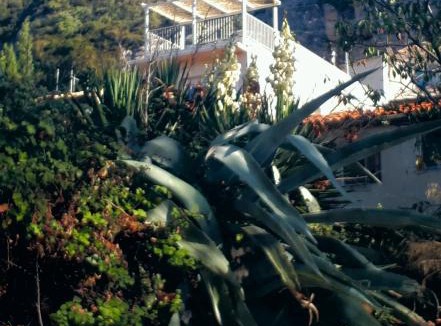 La Caunette House | LA MAISON MIRAVA