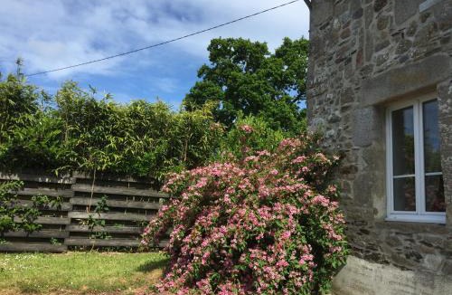 Le Vast House | la maison perchée