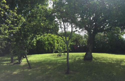 Le Vast House | la maison perchée