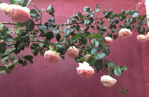 Gare Bed & Breakfast | La Maison Rouge
