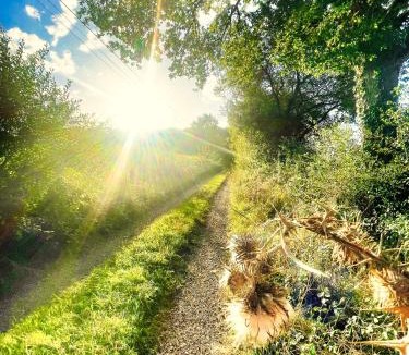 Courcival House | La Maison Sycomorette