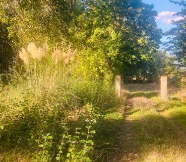 Courcival House | La Maison Sycomorette