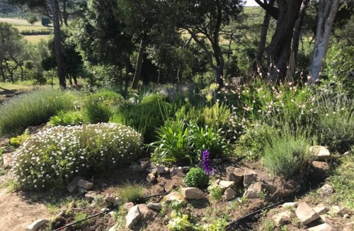 Montlaur House | La Maison Vigneronne