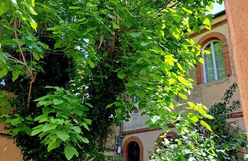 Matabiau House | La maisonnette du 24, cosy, quiet hypercentre and teleworking