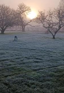 Jau-Dignac-et-Loirac Bed & Breakfast | La Mancine Laulan