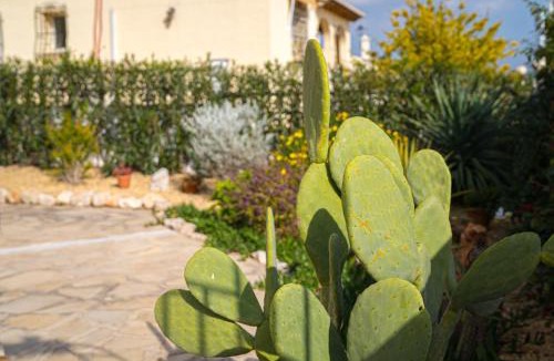 Orba Apartment | La Mandarina