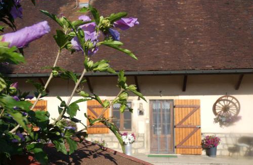 Bruailles Bed & Breakfast | La mare aux grenouilles