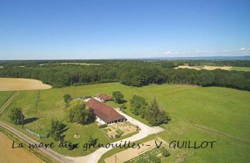 Bruailles Bed & Breakfast | La mare aux grenouilles