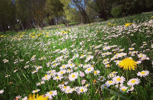 Avrille-les-Ponceaux Bed & Breakfast | La Marelle