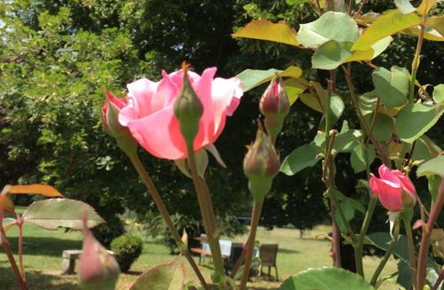 Avrille-les-Ponceaux Bed & Breakfast | La Marelle