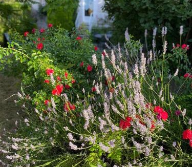Civray-de-Touraine Bed & Breakfast | La Marmittiere