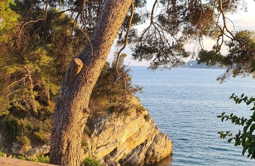Le Mourillon Villa | "La Masure", a unique, waterfront home