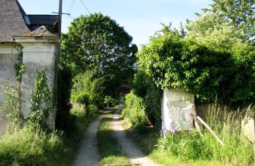 Jarze Bed & Breakfast | La Mesnagerie