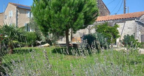 Soulignonne Bed & Breakfast | LA MESONNETTA