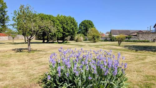 Lussac-Les-Eglises House | La mesou