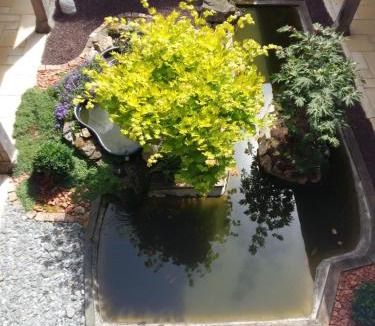 Les Aubiers Bed & Breakfast | La Minaudière