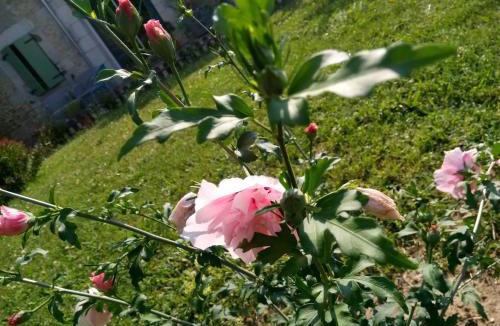 Montazeau Bed & Breakfast | La Mirabelle