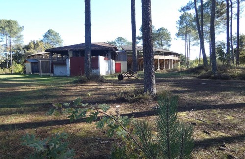 Brocas House | La Molinie - Brocas - Gîte