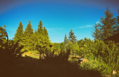 Allemans Bed & Breakfast | La Montagne Sud