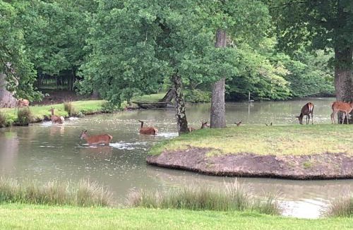 Donnery Apartment | La Motte Melleraye