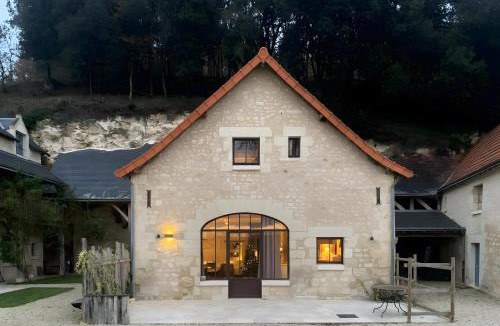 Cravant-les-Coteaux Apartment | La Motte Wilhelm de Sonnay -piscine