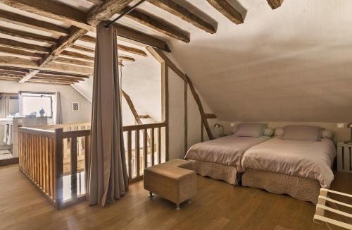 Cravant-les-Coteaux Apartment | La Motte Wilhelm de Sonnay -piscine