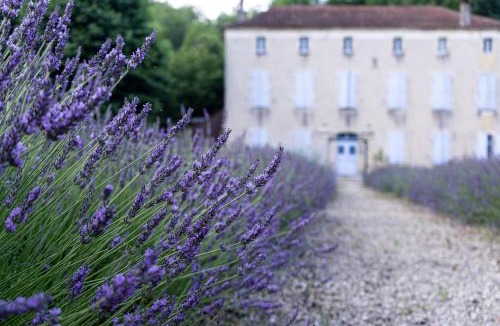 Labastide-du-Vert House | La Mouline