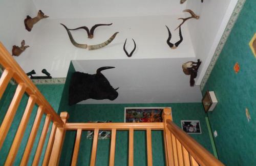 Lhommaize House | La Moutte