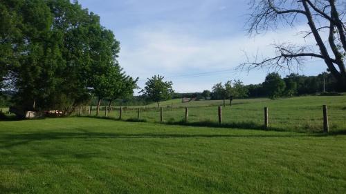 Montredon-Labessonnie House | La Nappie